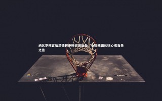 牛八体育平台|纳瓦罗预言哈兰德将步姆巴佩后尘，小蜘蛛强化核心成当务之急